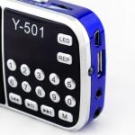 Portable FM/AM Radio Player with LCD Display and Audio Output
