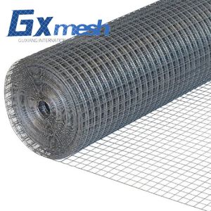  Galvanized iron wire mesh construction welding network welded wire mesh galvanized welded wire mesh Manufactures