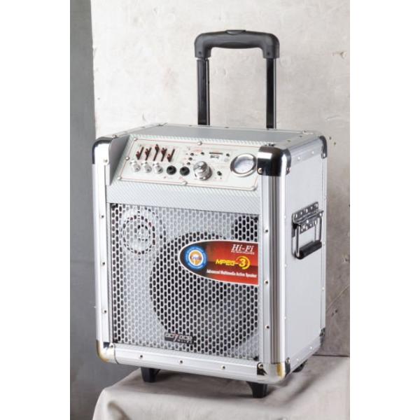 Quality active trolley speaker/portable speaker with USB/SD function for sale