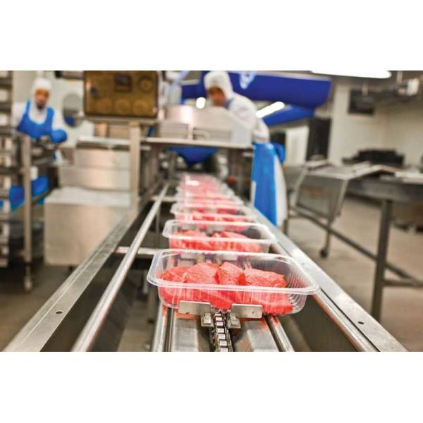 Energy Efficient MAP Plastic Tray Sealing Machine For Fresh Fish Meat