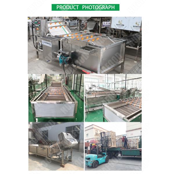 fruit processing machinery - maurer gep