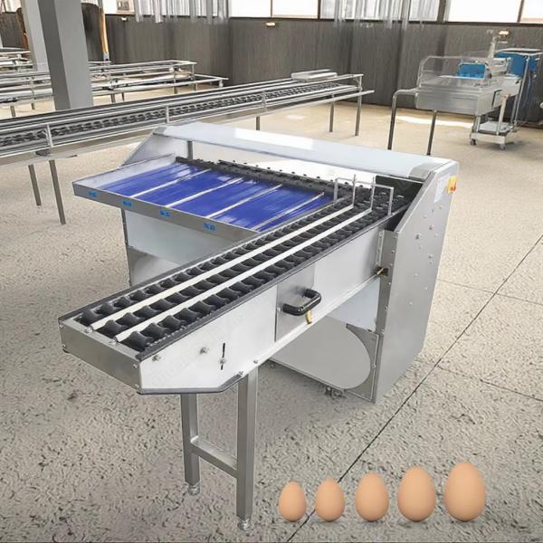 Egg Sorting Machine For Hatchery Eggs Sorting Machine With Stamping Egg Grading
