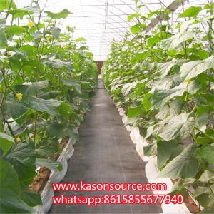  Weed Control Mat Landscape Garden Fabric Flower Bed Liner Cloth/ground Cover Anti Grass Fabric 70-140gsm Manufactures