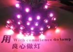 9mm pixel led light pink color exposed string point light for sign and channel