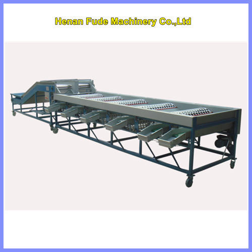  Garlic grading machine, garlic sorting machine Manufactures