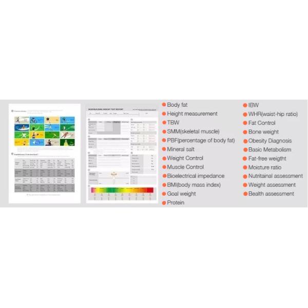 Bioelectrical Impedance Analysis with GS6.5C+ Analyzer: Human Elements Detection for Obesity Diagnosis and Nutritional
