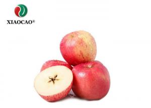  Organic Spray Freeze Dried Powder Apple Juice Concentrate Powder Apple Flavor Powder Manufactures