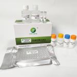 Toxoplasma Gondii IgG ELISA Toxoplasma Rapid Test Kit For Pet 96 Wells/Kit GMP