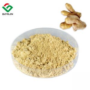  KOSHER Approval 10% Ginger Root Extract , Ginger Extract Powder Manufactures
