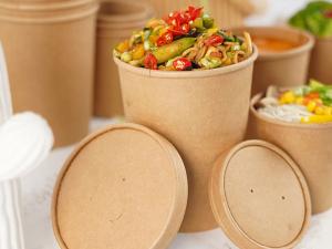  480ml Plastic Free PLA Disposable Paper Soup Bowls With Lids Manufactures