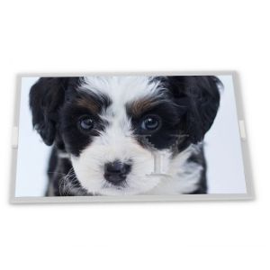  N080ICP-G01 8inch TFT LCD Display Modules supplier lcd panel Rectangular screen supplier lcd panel Manufactures