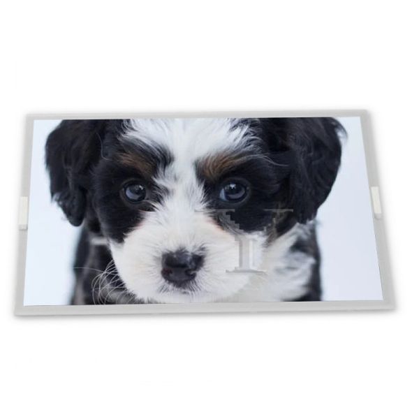 Quality AV080HDM-N15-28P1 8inch TFT LCD Display Modules Quality supplier Rectangular screen supplier lcd panel for sale