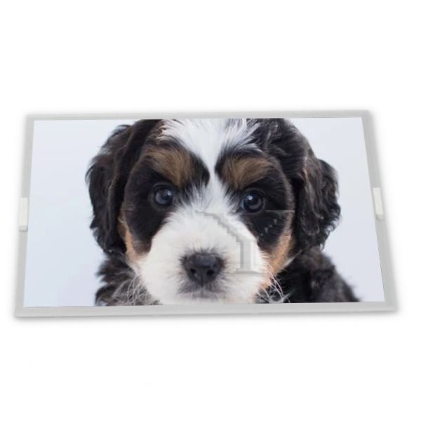 Quality Customizable 17.1-Inch WLED LCD Display Module with 1440*900 Resolution New and Good ODM LM171WX3-TLC2 Modules for sale