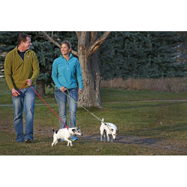 Hand Made Braided Nylon Dog Leash Multiple Lengths