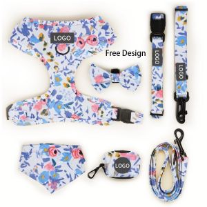 Custom Print Pattern Designer Soft Padded Dog Harness Set with Adjustable Vest
