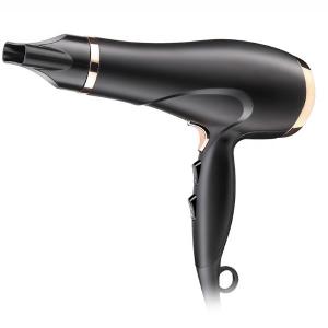  220V Plastic Professional Salon Hair Dryer With Ionic Function Manufactures