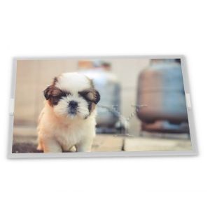 GT080X0M-N12-1QP0 8inch TFT LCD Display Modules supplier lcd panel Rectangular