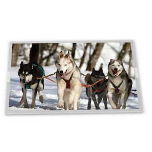 DV238FHM-N10 Custom 23.8 TFT LCD Display Modules TN Type with LED Backlight Gold Supplier of Industrial Screens Complete Range