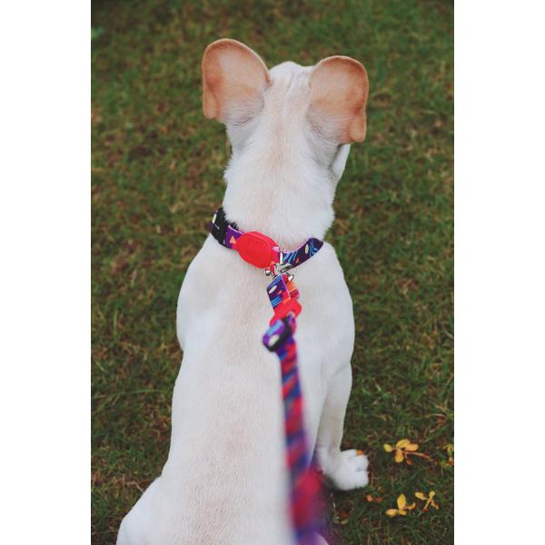 3m 5m Dog Lead