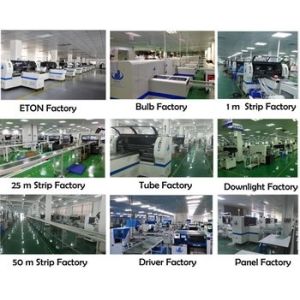 LED Roll To Roll Mounting Machine Two Placement Head For LED Chip Mounting