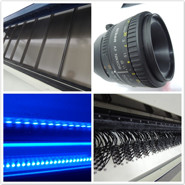 Hazelnut Color Sorter Hazelnut Separator Machine Hazelnut Processing Sorting