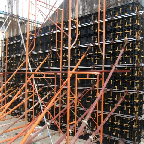 1220x2440mm Modular Plastic Formwork Versatile Modular Concrete Formwork For Foundation And Column Molding