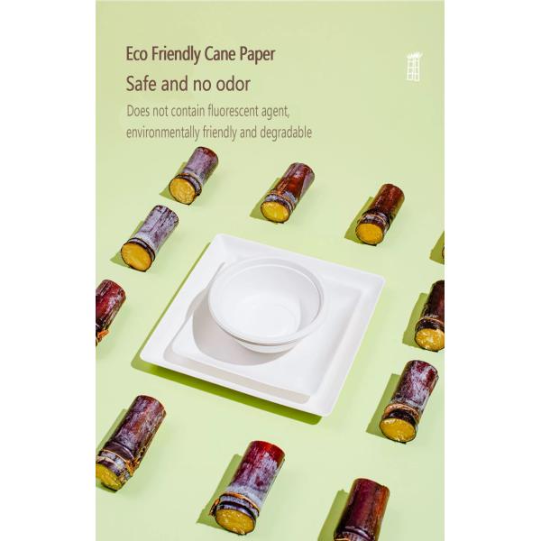Eco-friendly Pulp Burger Box Clamshell Tableware Set Bagasse Takeaway Box Biodegradable Food Packing Container