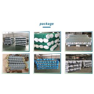 Reasonable and Latest Design Chain Link Fence Roll 50ft with Galvanized Wire
