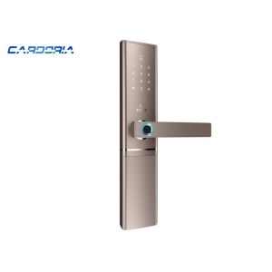 C Level Bluetooth Fingerprint Door Lock Support OEM / ODM Service High Security