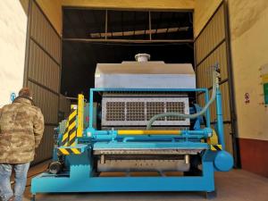 China Rotary Forming Egg Tray Machine , Egg Carton Making Machine Long Service Life on sale