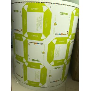 240m/Min Flexo Printing Machine with Multi-Color Servo Drive and Ceramic Anilox