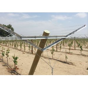 Unique Open Gable System Enhances Plastic Covering Program For Fall Harvest