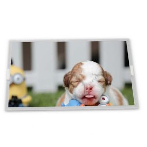 BV050HDM-N00 5 TFT LCD Display Modules new high quality touch screen panel