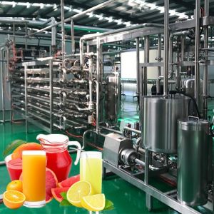 SUS304 500T/D Citrus Processing Line Automatic Juice Extracting