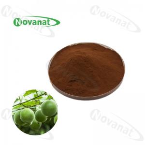 China Luo Han Guo Extract 2:1/ Monk Fruit Extract Powder Mogrosides/ Natural Sweetener on sale
