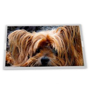 B080UAN02.0 8inch TFT LCD Display Modules Quality supplier Rectangular screen