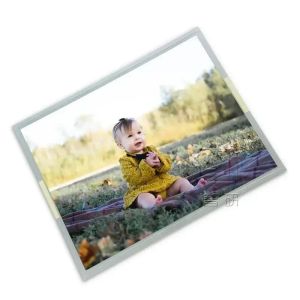 12.1 Inch T-55513D121J-LW-A-AAN TFT LCD Screen Module with 1024*768 Resolution RGB and EDP Interface LCD Panel Composition