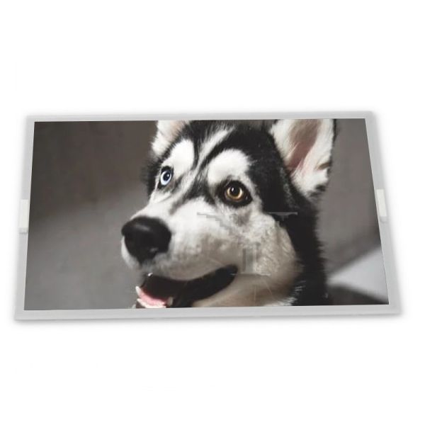 Quality COG-T800F3120-L1 8inch TFT LCD Display Modules Quality supplier Rectangular screen supplier lcd panel for sale