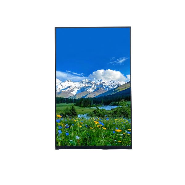 Portrait 10.1 inch FHD TFT LCD Module T-con Board with IPS Viewing Angle and Resolution 1200*RGB*1920