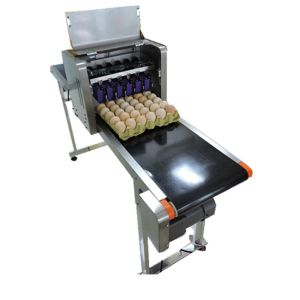 Eggs Continuous Inkjet Printer With Date Automatically Updated Programme