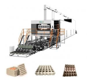  Automatic Plastic Egg Tray Making Machine High Capacity ISO9001 Manufactures