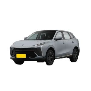  2024 Dongfeng Forthing T5 EVO SUV 1.5T FWD Auto Left Steering Petrol Vehicle with Integral Body Structure and Curb Weight of 1000-2000kg Manufactures