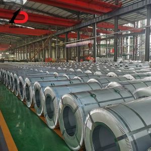 China Gi Coil Factory CS Type C, CS Type a, Type B, Fs Type a, Type B Galvanized
