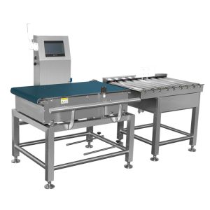 Belt Conveyor Checkweigher checkweigher scale weight sorting machine