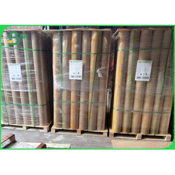 Wide Range 65 Inch 72 Inch Plotter Paper Roll For Printing & Shoes Industry