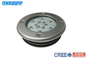  316 Stainless Steel Housing LED Inground Swimming Pool Light For Pond Manufactures