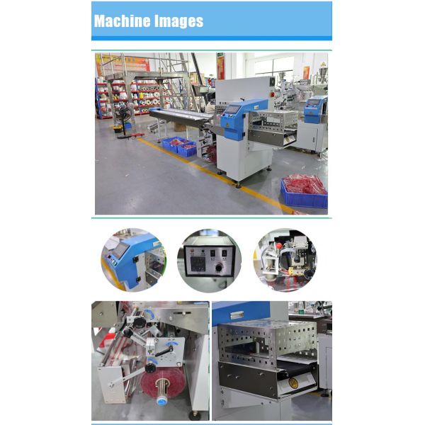 Automatic Horizontal Packaging Machine for Food & Beverage
