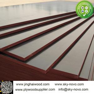  Brown film face plywood 18mm shuttering boards/formwork Manufactures