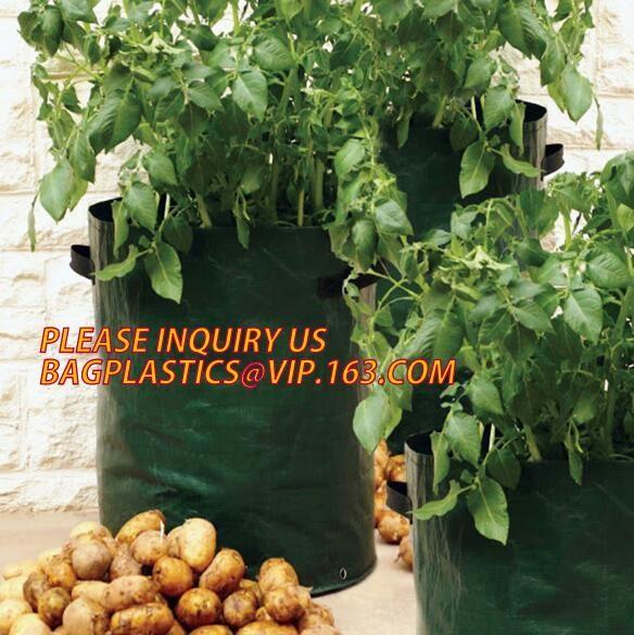Garden grow bag potato grow bag murphy bag PE fabric,40 / 50 / 100 / 200/300gallon durable heavy duty potato grow bag