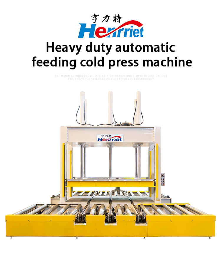 Double-Sided Automatic Conveying Cold Press Machine with 160 Ton Maximum Pressure and 3300*1800mm Pressure Plate Size